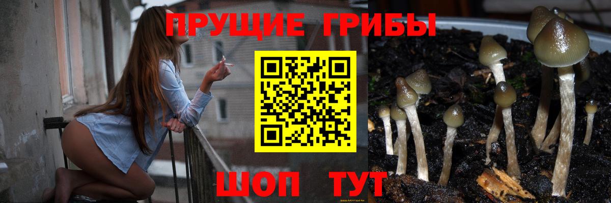 Псилоцибиновые грибы прущие грибы  Вход с VPN  Сафоново 
